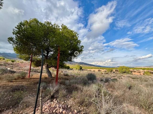 Terreno en venta en Mortí Bajo, Bajo Guadalentín
