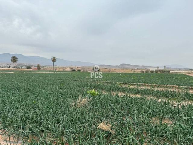 Terreno en venta en Bajo Guadalentín, Murcia