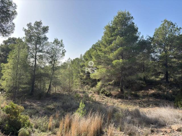 Terreno en venta en Mortí Bajo, Bajo Guadalentín