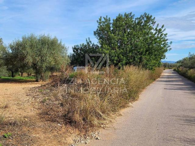 Terreno en venta en Traiguera