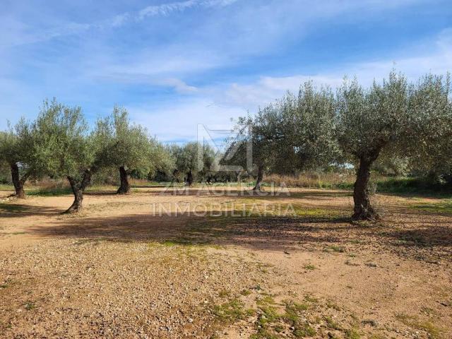 Terreno en venta en el Baix Maestrat, Valencia