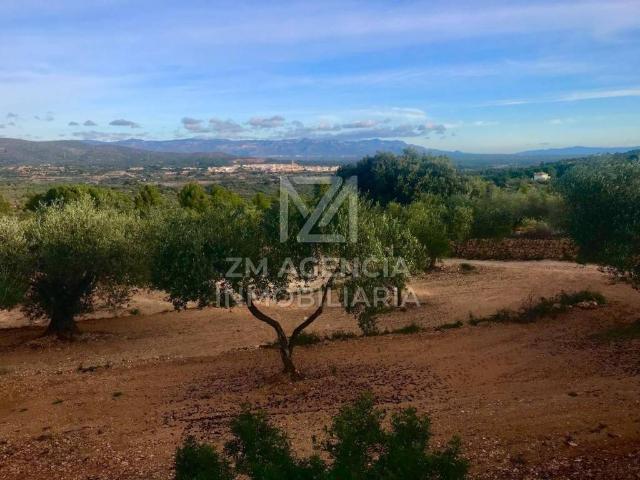 Terreno en venta en el Baix Maestrat, Valencia
