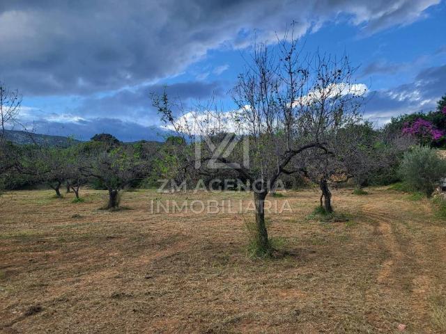 Terreno en venta en el Baix Maestrat, Valencia