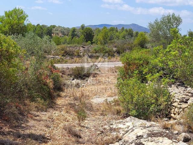 Terreno en venta en Traiguera
