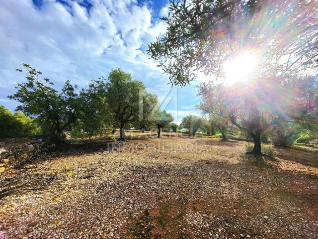 Terreno en venta en el Baix Maestrat, Valencia