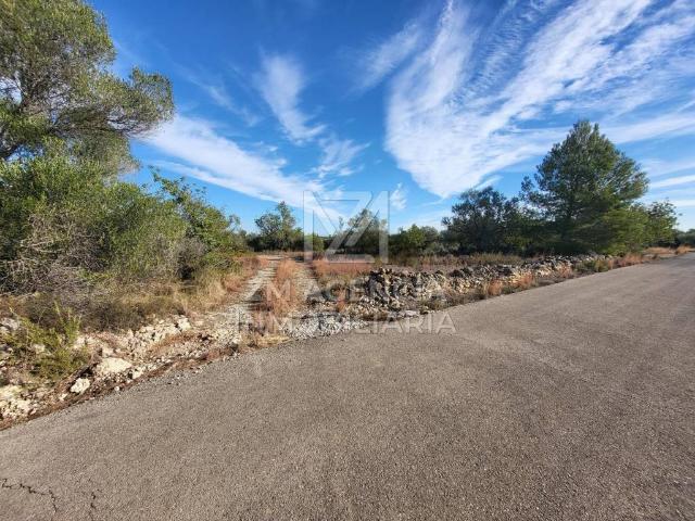 Terreno en venta en Traiguera