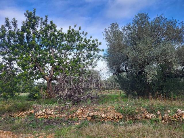 Terreno en venta en el Baix Maestrat, Valencia