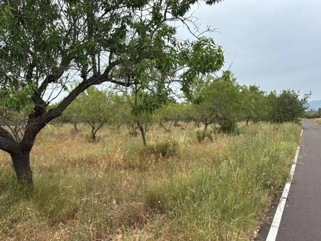 Terreno en venta en el Baix Maestrat, Valencia