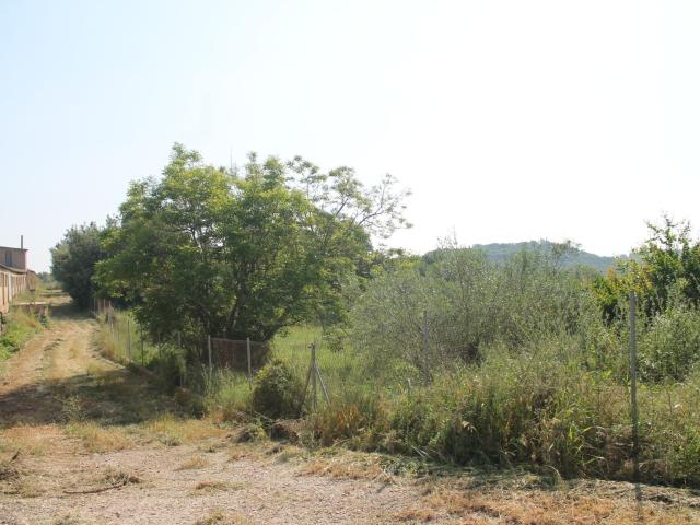 Terreno en venta en Traiguera