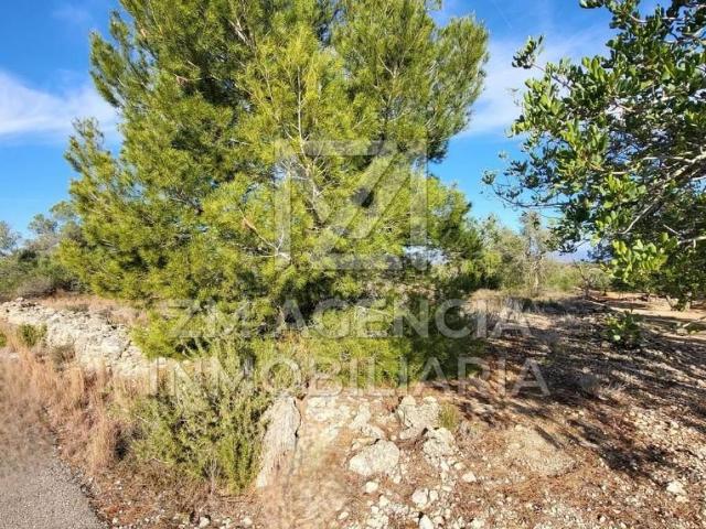 Terreno en venta en el Baix Maestrat, Valencia