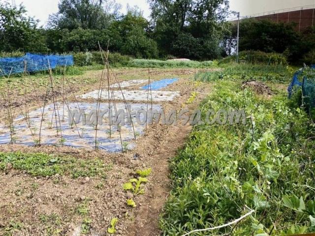 Terreno en venta en Valle De Trápaga-trapagaran
