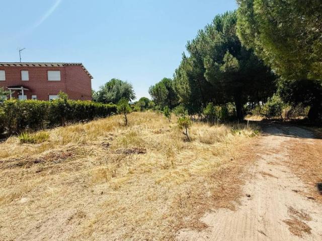 Terreno en venta en Traspinedo, Castilla y León
