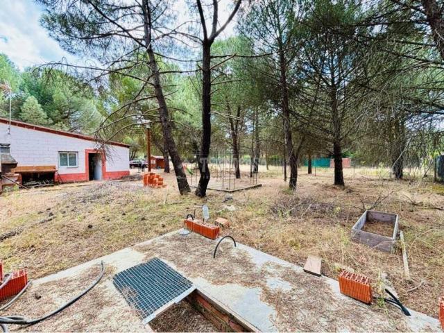 Terreno en venta en Traspinedo, Castilla y León
