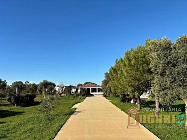 Terreno en venta en Trigueros, Huelva
