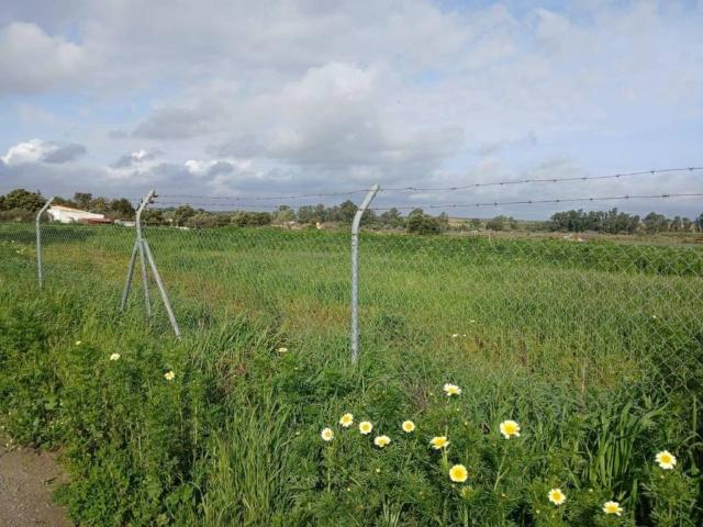 Terreno en venta en El Condado, Andalucía