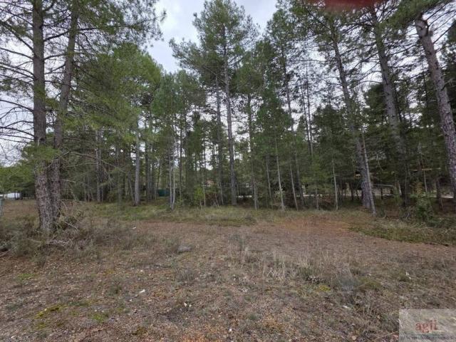 Terreno en venta en Trillo, Guadalajara