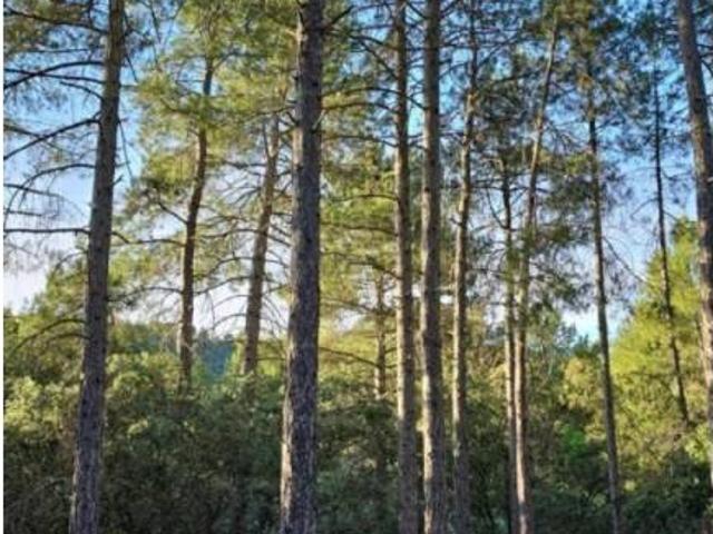Terreno en venta en Trillo, Castilla-La Mancha