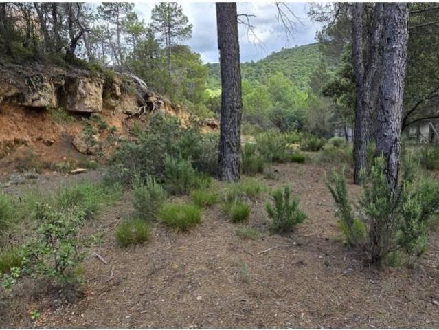 Terreno en venta en Trillo, Castilla-La Mancha