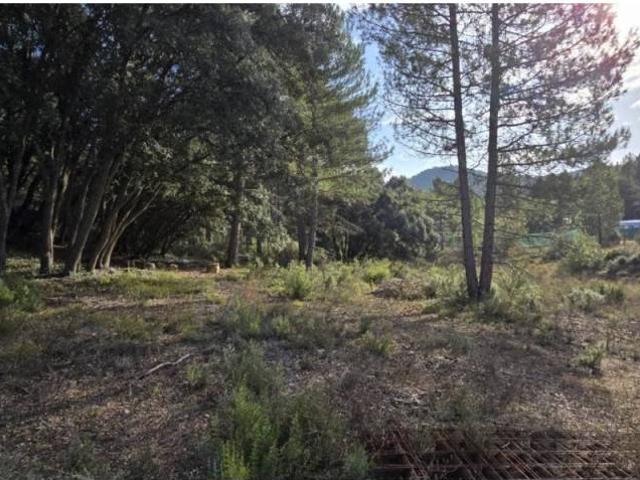 Terreno en venta en Trillo, Castilla-La Mancha