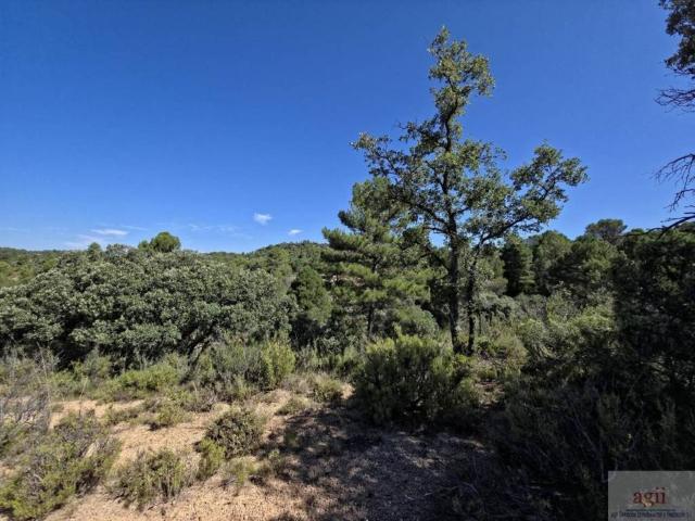 Terreno en venta en Trillo, Castilla-La Mancha