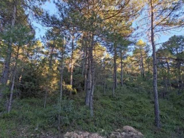 Terreno en venta en Trillo, Castilla-La Mancha