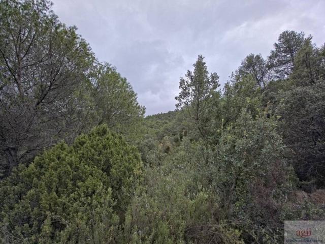 Terreno en venta en Trillo, Castilla-La Mancha