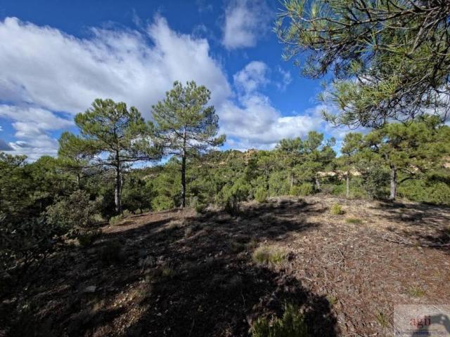 Terreno en venta en Trillo, Castilla-La Mancha
