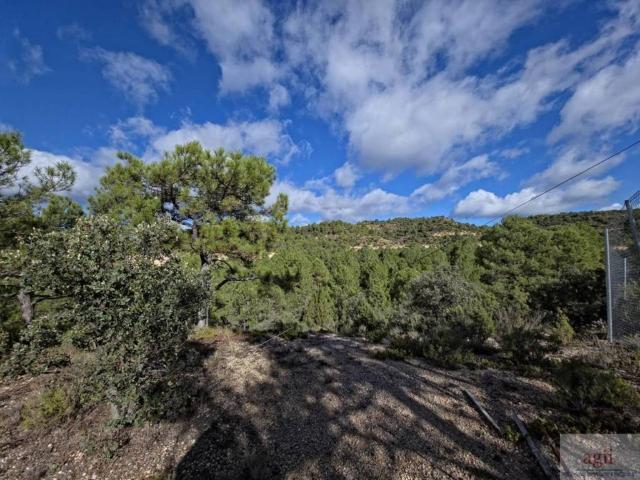 Terreno en venta en Trillo, Castilla-La Mancha