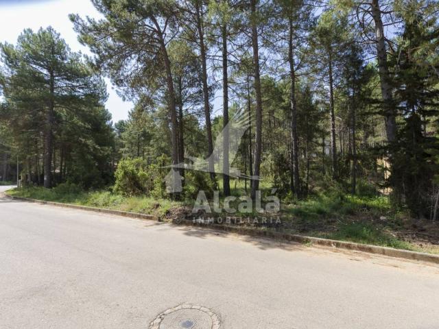 Terreno en venta en Valdenaya, Trillo