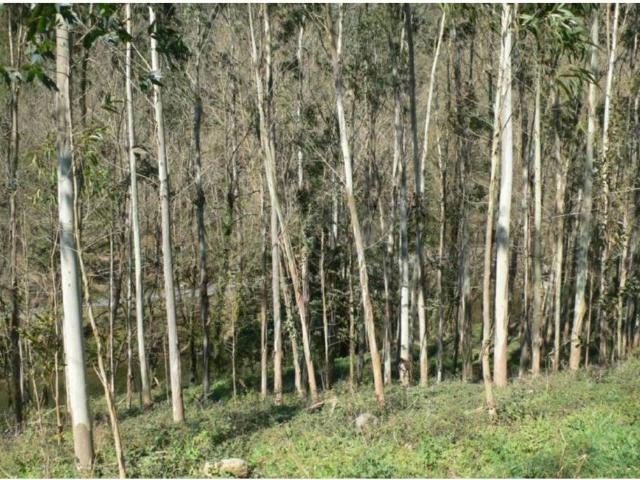 Terreno en venta en Trucios-turtzioz, Guipúzcoa