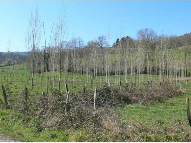 Terreno en venta en Trucios-turtzioz, Guipúzcoa