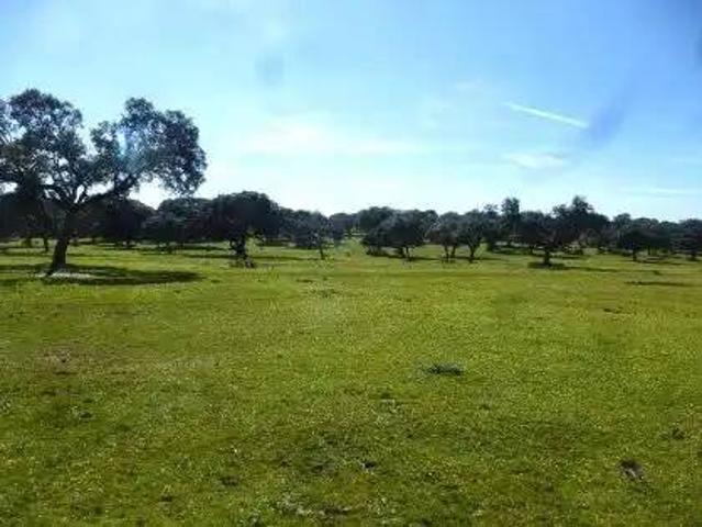 Terreno en venta en Trujillo, Cáceres