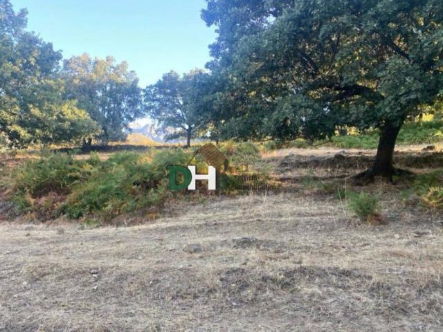 Terreno en venta en Trujillo, Extremadura