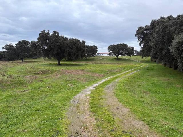 Terreno en venta en Trujillo, Extremadura