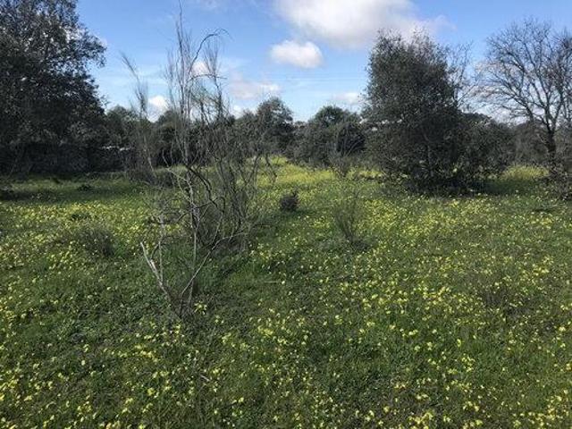Terreno en venta en Trujillo, Extremadura