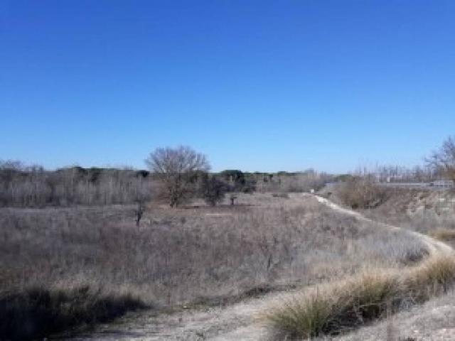 Terreno en venta en Tudela De Duero, Castilla y León
