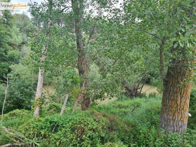 Terreno en venta en Tudela De Duero, Castilla y León