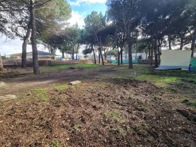 Terreno en venta en Tudela De Duero, Castilla y León