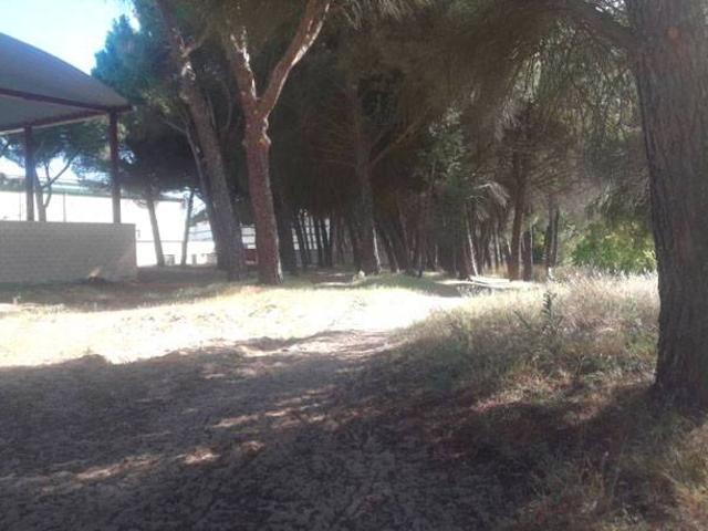 Terreno en venta en Tudela De Duero, Castilla y León