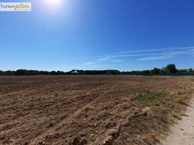 Terreno en venta en Tudela De Duero, Castilla y León