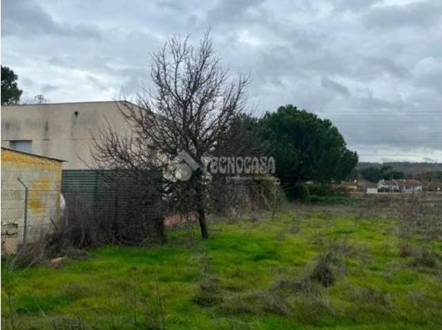 Terreno en venta en Tudela De Duero, Castilla y León