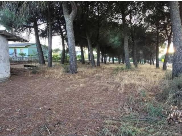Terreno en venta en Tudela De Duero, Castilla y León