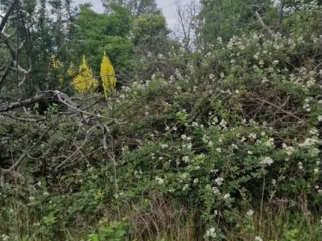 Terreno en venta en Tudela De Duero, Castilla y León