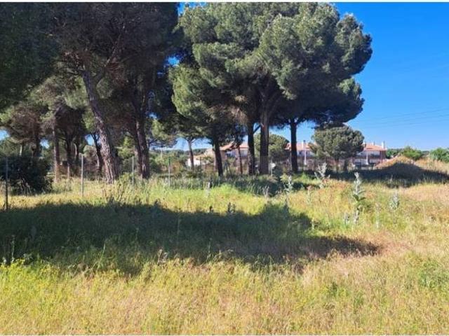 Terreno en venta en Herrera de Duero, Tudela De Duero