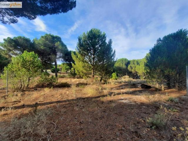 Terreno en venta en Tudela De Duero, Castilla y León