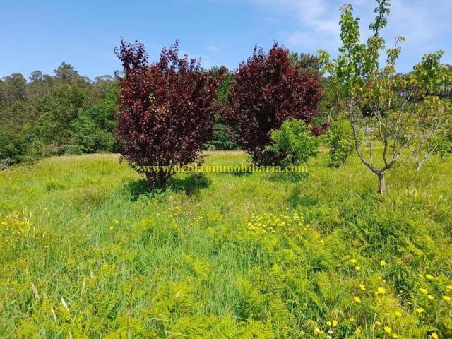 Terreno en venta en O Baixo Miño, Galicia