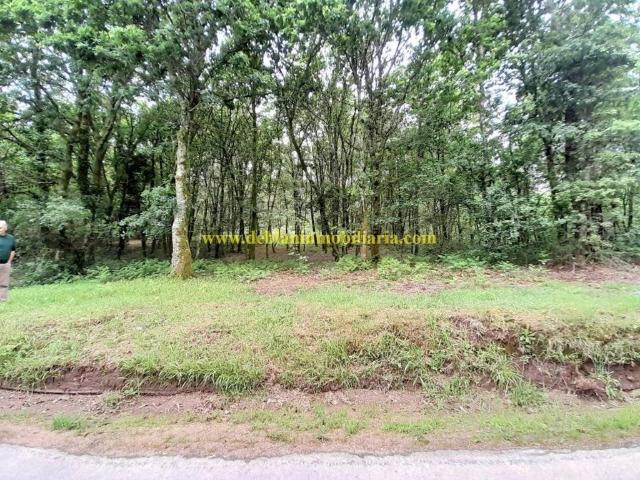 Terreno en venta en O Baixo Miño, Galicia