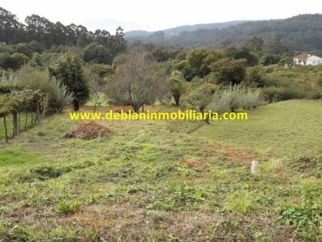 Terreno en venta en O Baixo Miño, Galicia