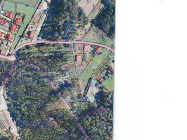 Terreno en venta en O Baixo Miño, Galicia