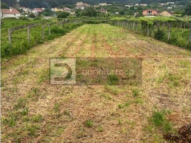 Terreno en venta en O Baixo Miño, Galicia